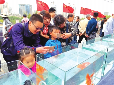 長假期間，有趣的活動(dòng)吸引了市民圍觀